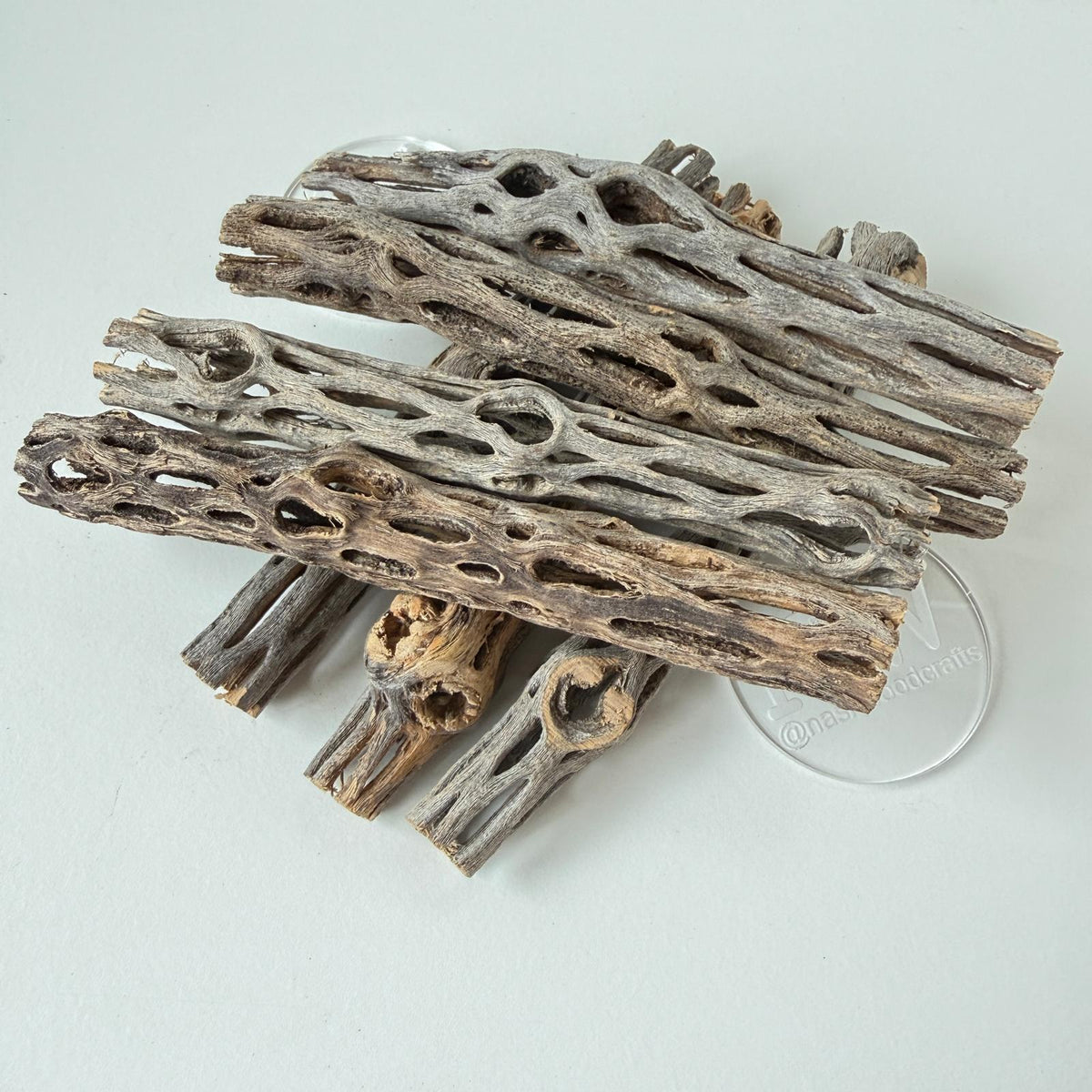 Cholla Cactus Pen Blanks