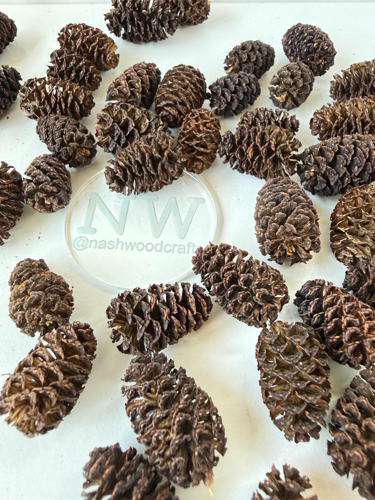 Alder Cone Pen Blanks