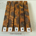 Scottish Pine Cones & Resin pen blank