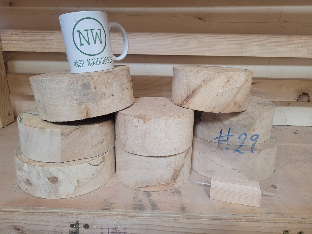 029 spalted horse chestnut