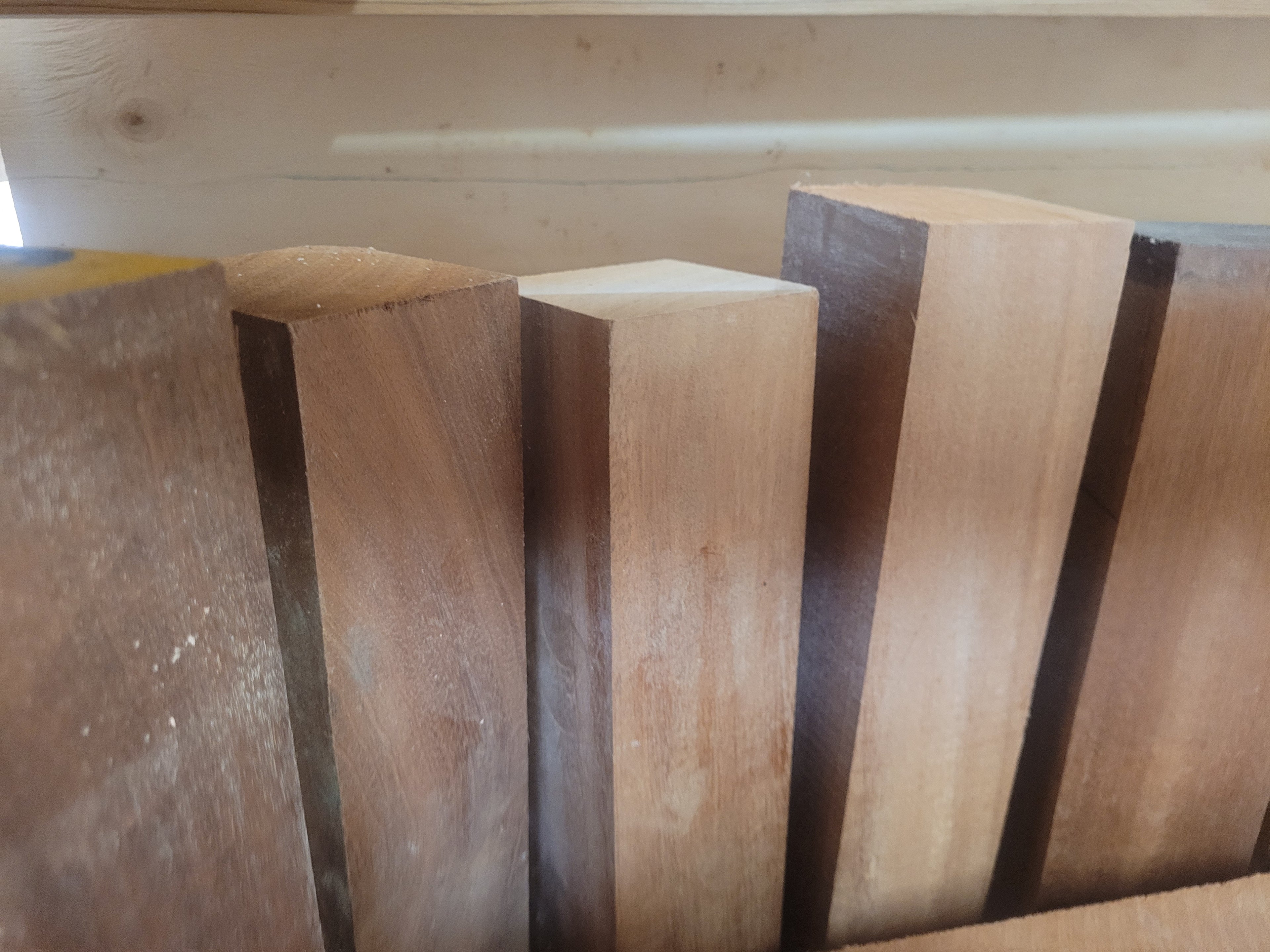 031 sapele