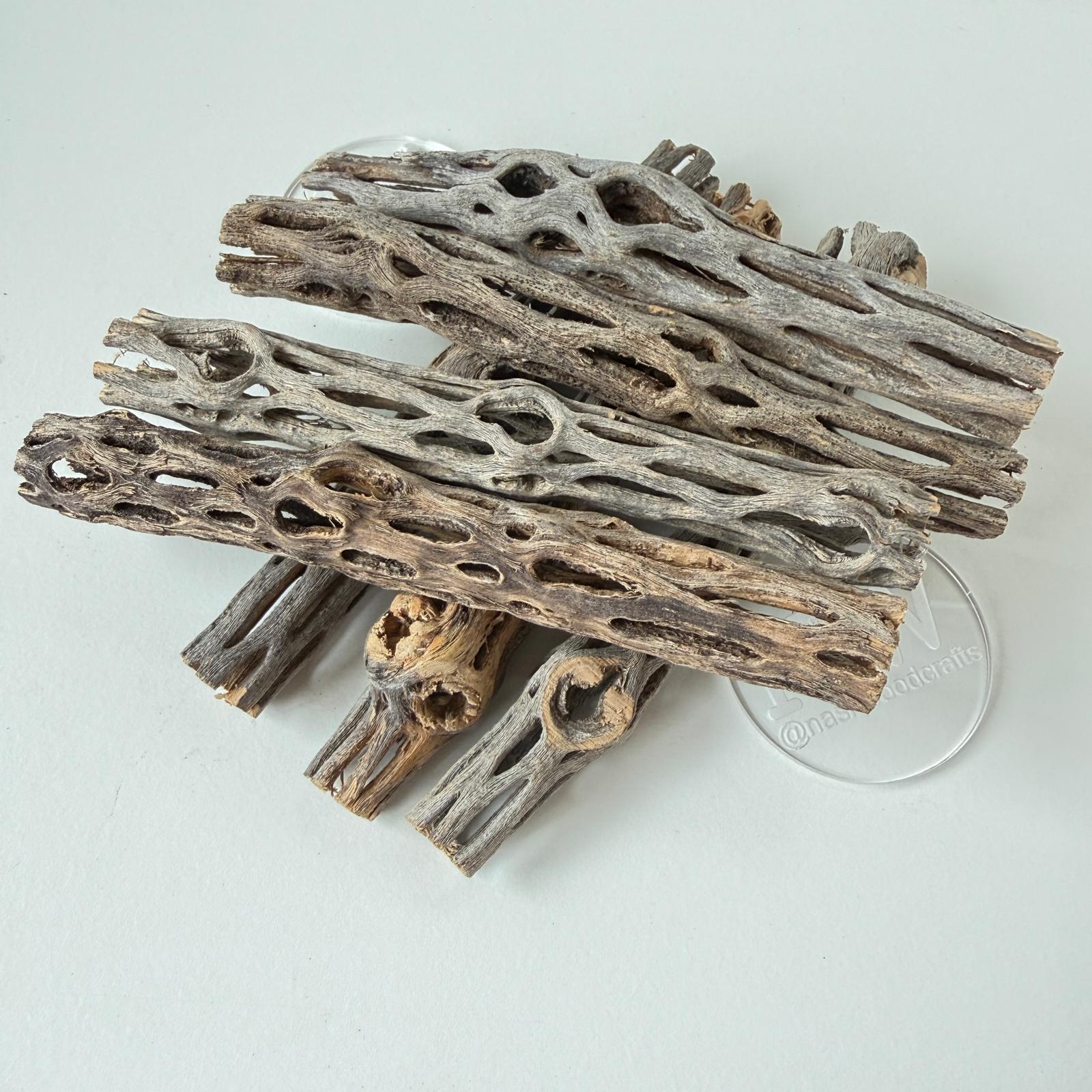 Cholla cactus & Resin pen blank (Copy)