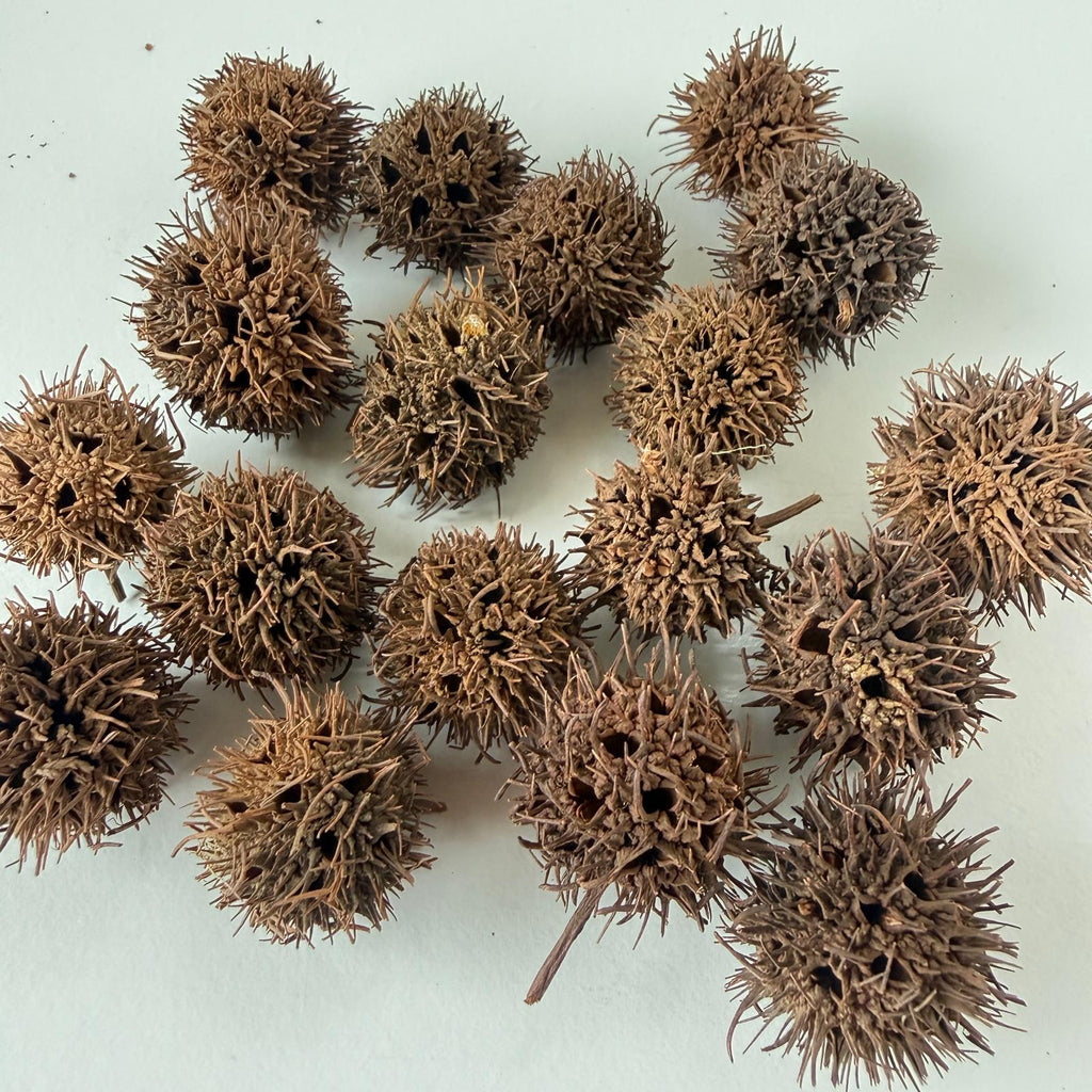 Sweetgum Seeds & Resin pen blank