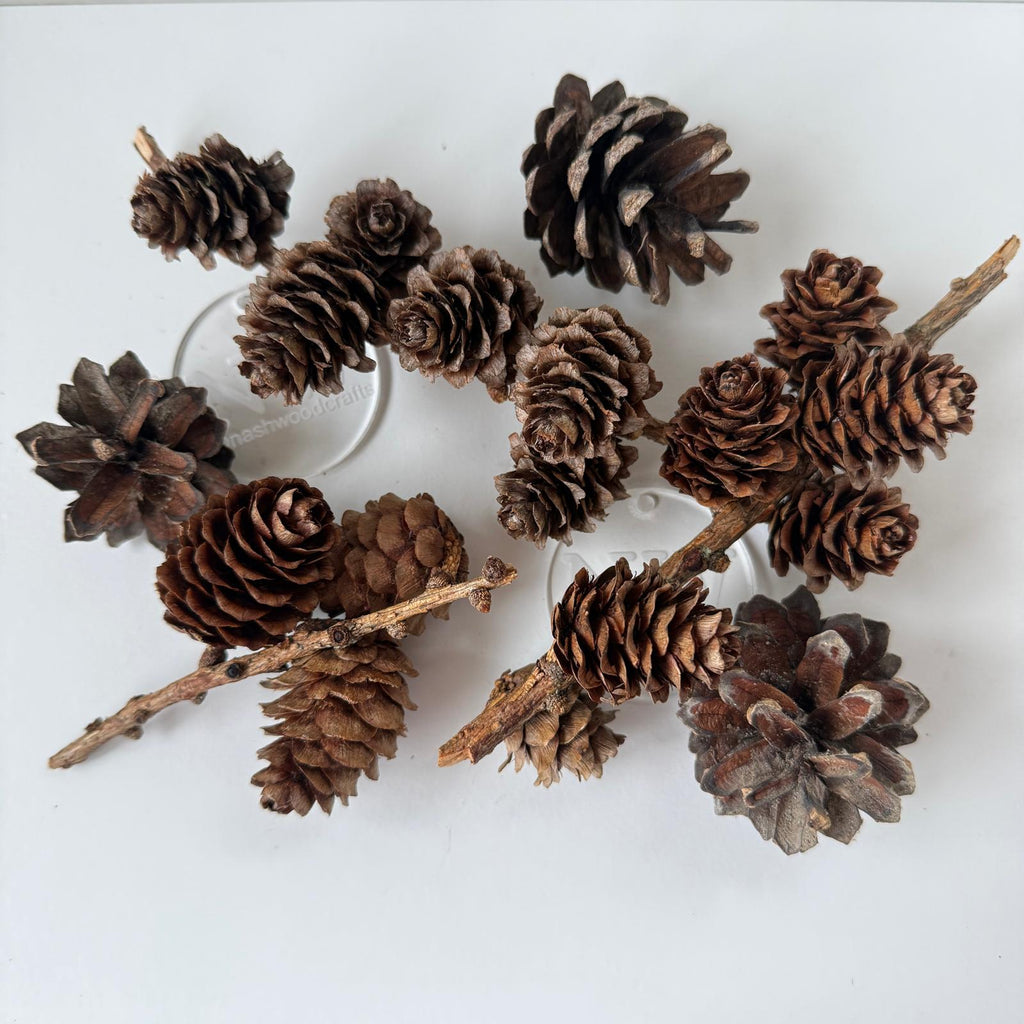 Scottish Pine Cones & Resin pen blank