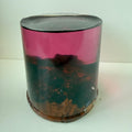 Elm Burr and Red/Pink coloured resin Egg blank